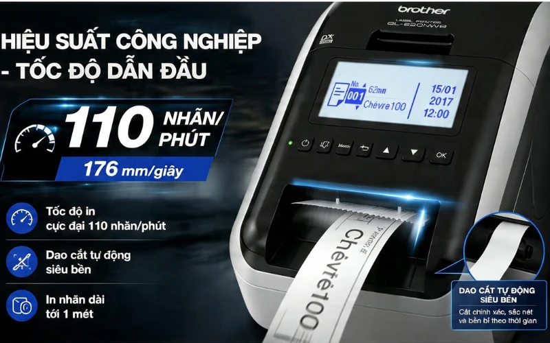 Hệ Sinh Thái Phần Mềm Toàn Diện Từ Cơ Bản Đến Lập Trình Nâng Cao